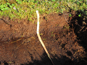 soil  pit siberia